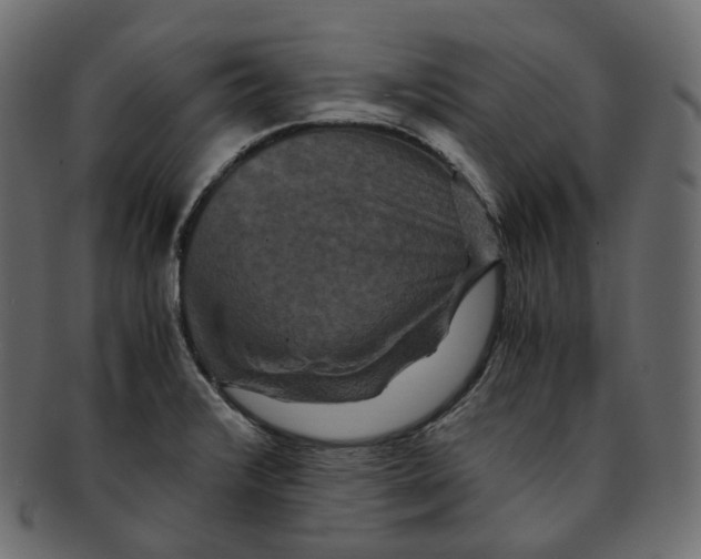 X0000091941376200710031109