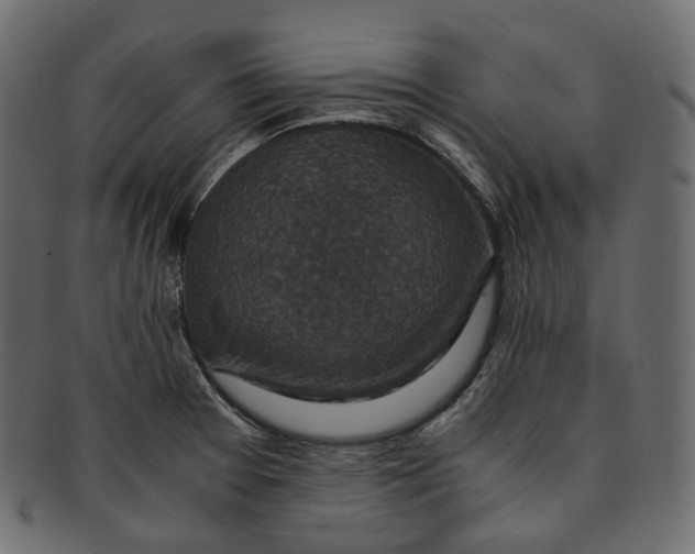 X0000091941377200710031109