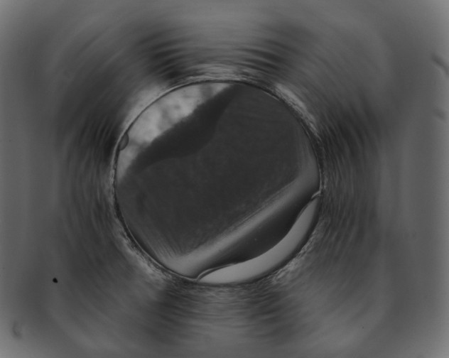 X0000091941378200710031109