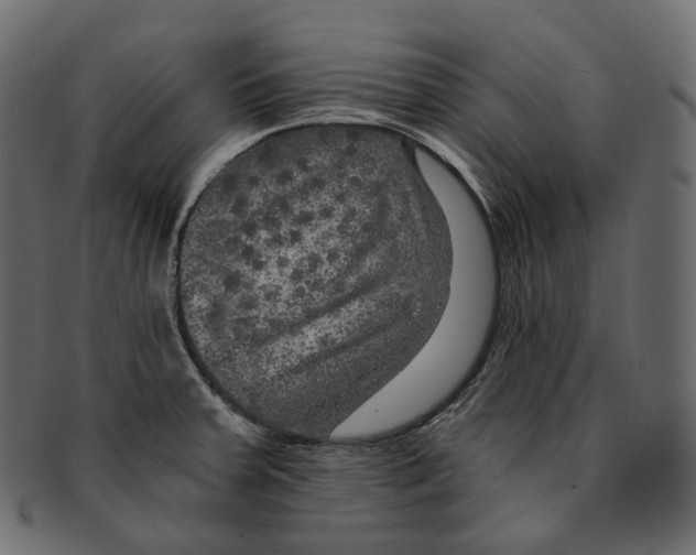 X0000091941379200710031109