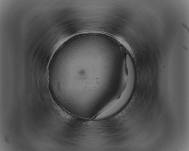 X0000091941380200710031109