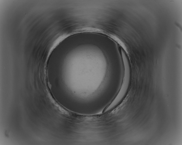 X0000091941381200710031109