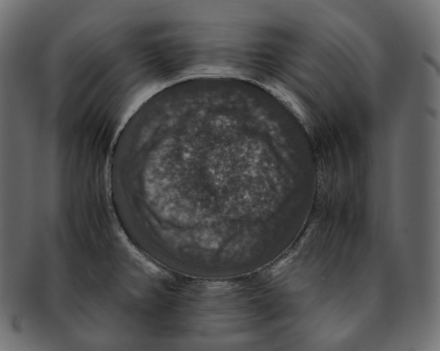 X0000091941382200710031109