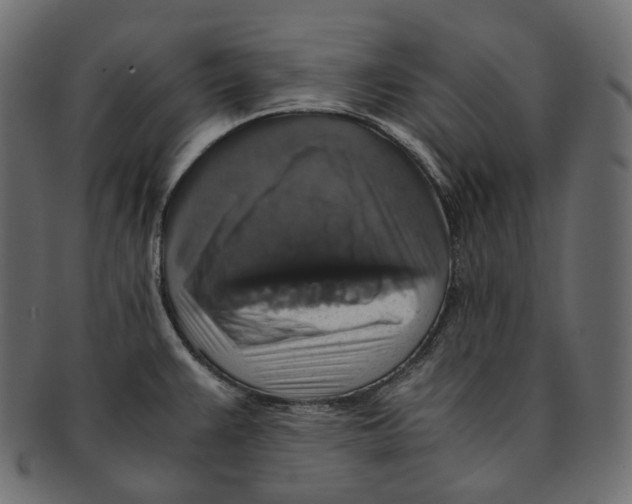 X0000091941383200710031109