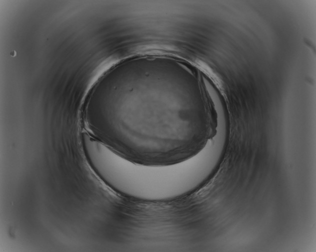 X0000091941384200710031109