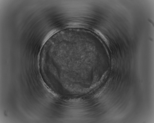 X0000091941386200710031109