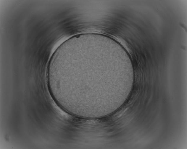 X0000091941387200710031109