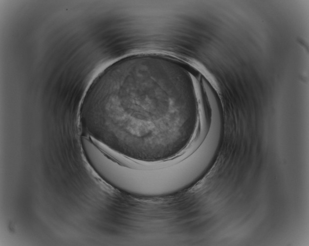 X0000091941388200710031109