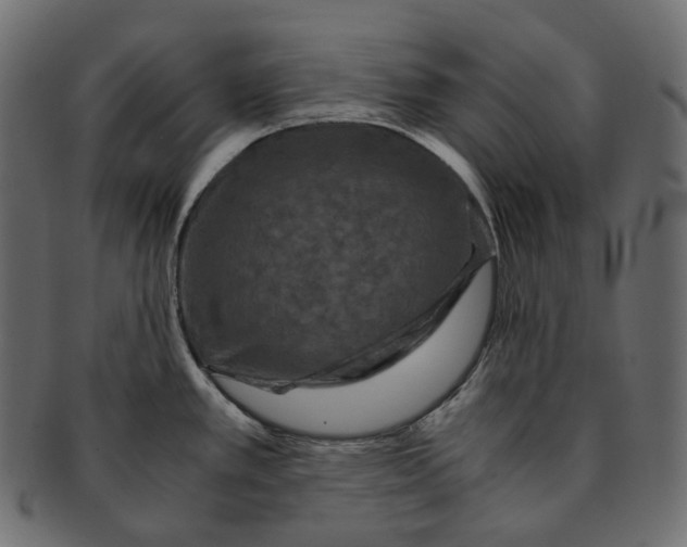 X0000091941389200710031109