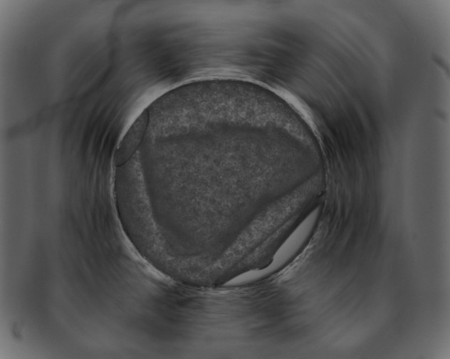 X0000091941390200710031109