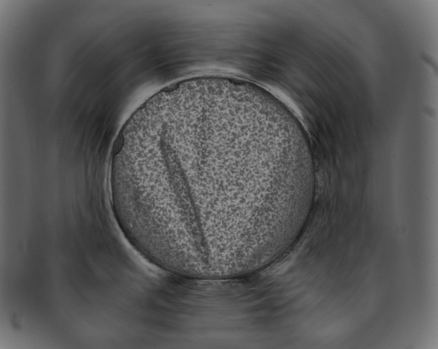 X0000091941391200710031109