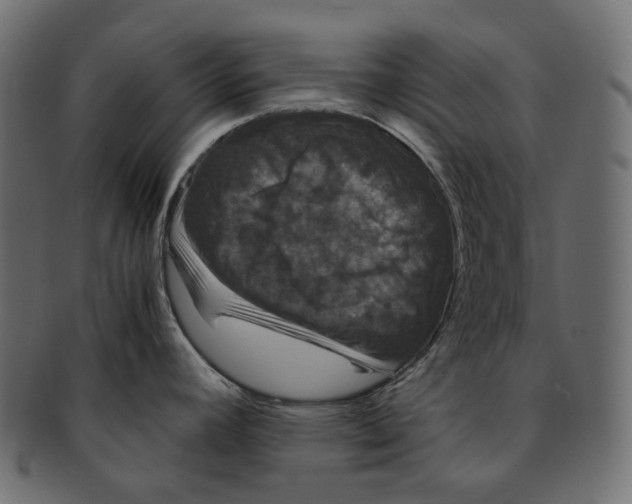 X0000091941392200710031109