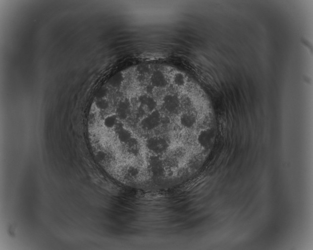 X0000091941393200710031109