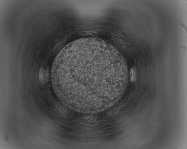 X0000091941395200710031109