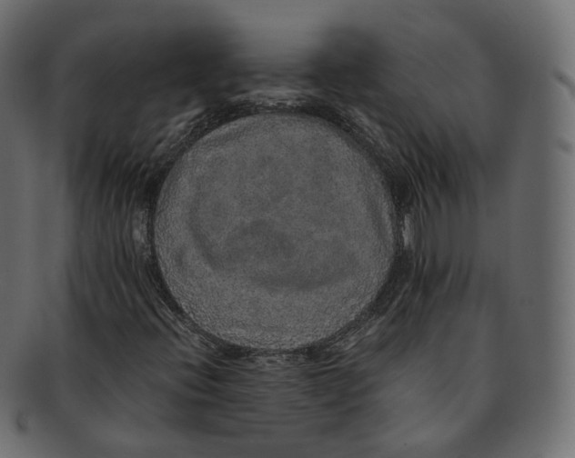 X0000091941396200710031109