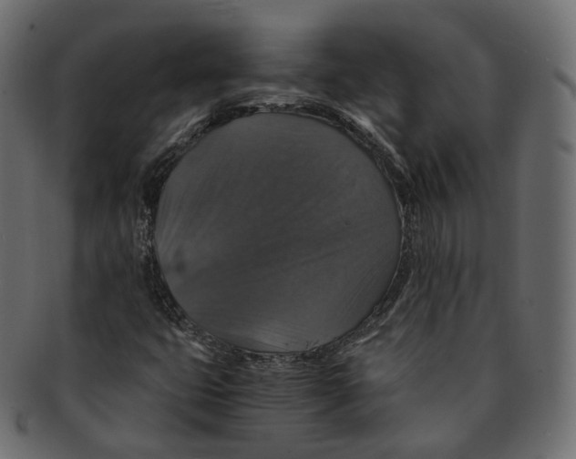 X0000091941399200710031109