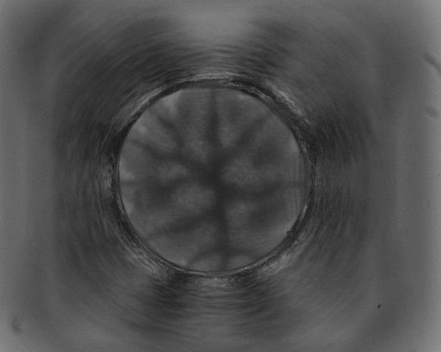 X0000091941401200710031109