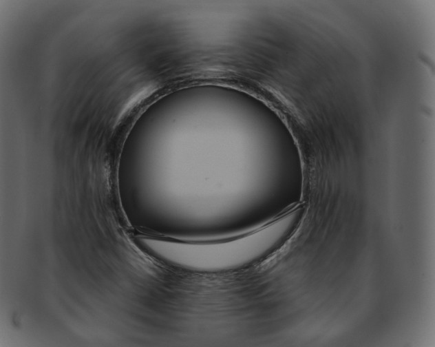 X0000091941402200710031109