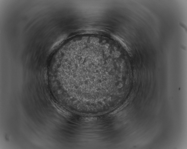 X0000091941403200710031109