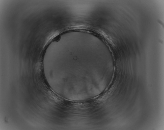 X0000091941405200710031109