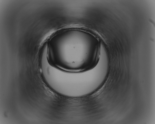 X0000091941406200710031109