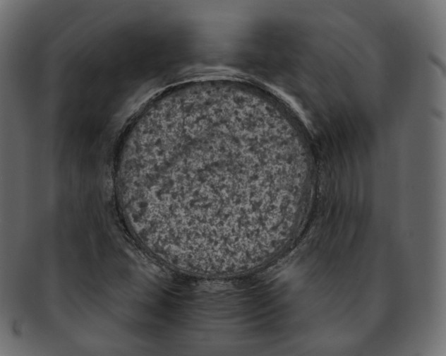 X0000091941407200710031109