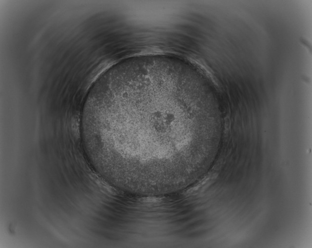 X0000091941409200710031109