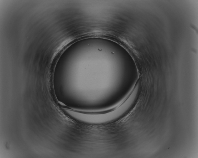 X0000091941410200710031109