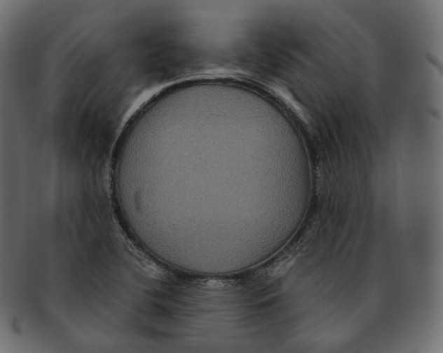 X0000091941412200710031109