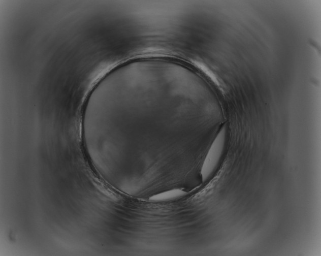 X0000091941413200710031109