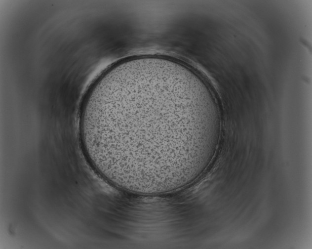 X0000091941416200710031109