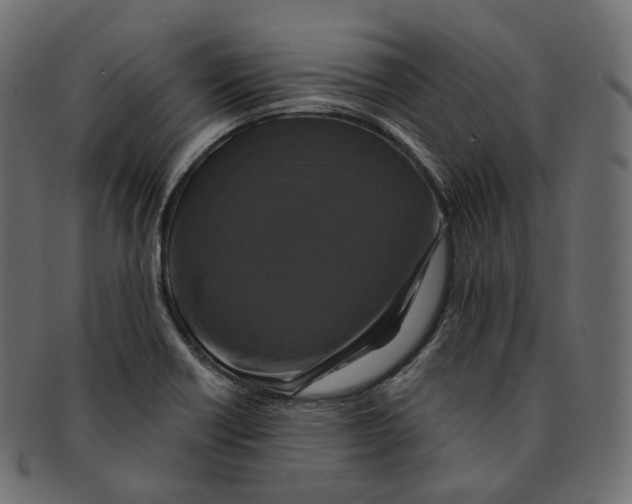 X0000091941418200710031109