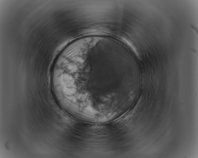 X0000091941419200710031109