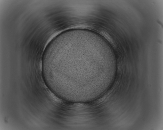 X0000091941420200710031109