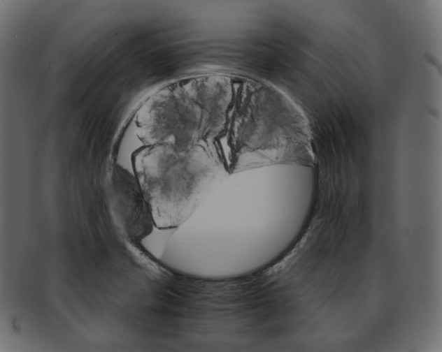 X0000091941421200710031109