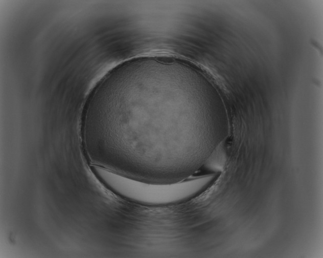 X0000091941422200710031109