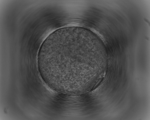 X0000091941423200710031109