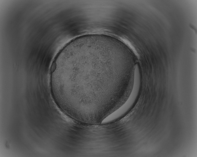 X0000091941424200710031109