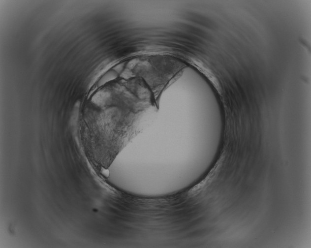 X0000091941425200710031109