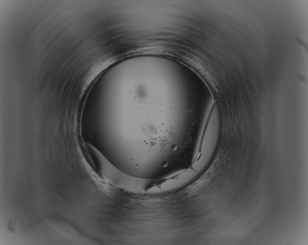 X0000091941426200710031109