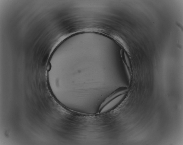 X0000091941428200710031109