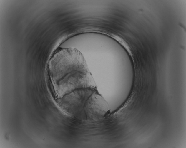 X0000091941429200710031109