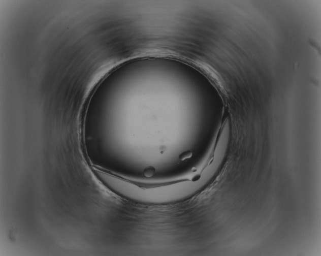 X0000091941430200710031109