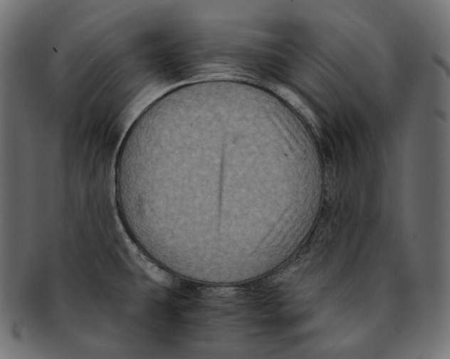 X0000091941431200710031109