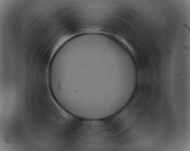 X0000091941432200710031109