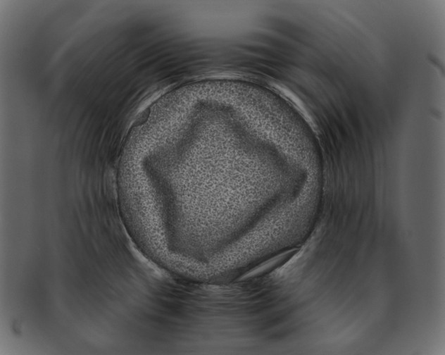 X0000091941433200710031109