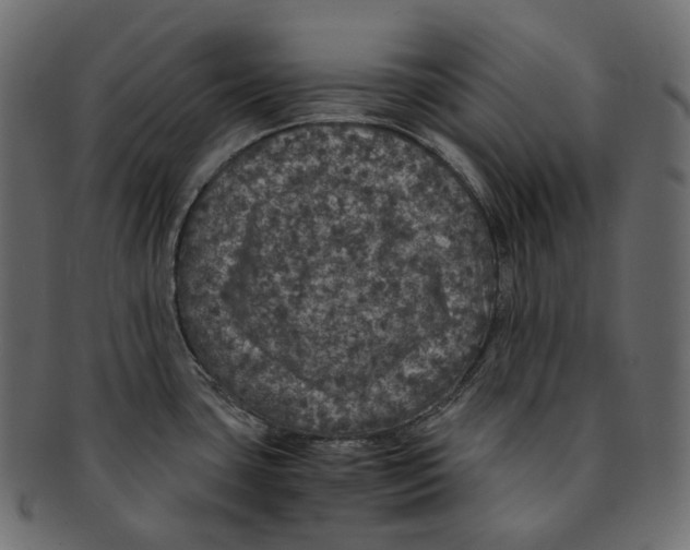 X0000091941435200710031109