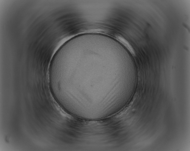 X0000091941436200710031109