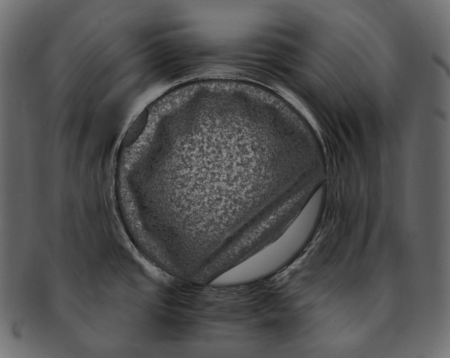 X0000091941437200710031109