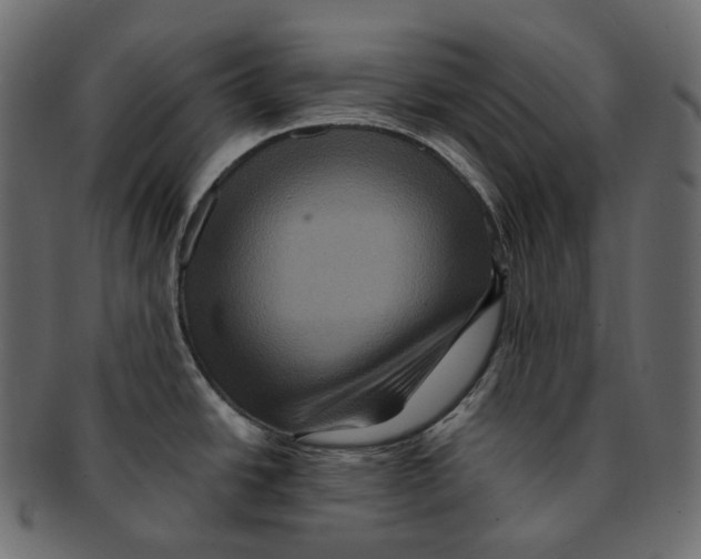 X0000091941438200710031109